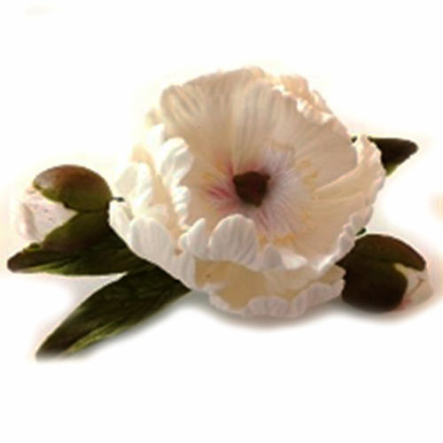 Піон D=90 мм з бутонами