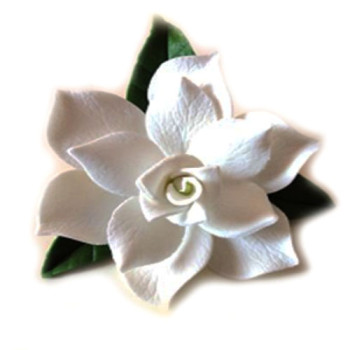 Гарденія з листочками