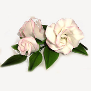 Гілочка еустоми