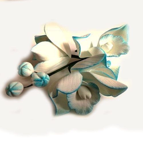 Гілочка орхідеї №1