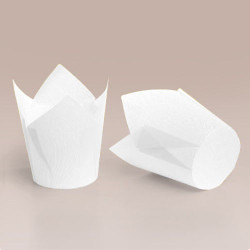 ТЛ-160 (50 * 65/90) ТЛ-160 (50 * 65/90)