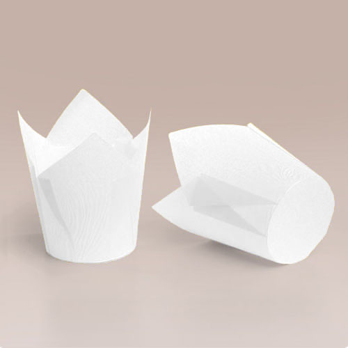 ТЛ-160 (50 * 65/90) 