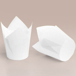 ТЛ-175 (50 * 75/100) ТЛ-175 (50 * 75/100)